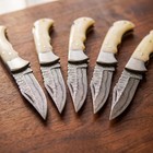 Set Of 5 Pcs  Handmade Damascus Steel Folding Knives  Bone Handle   Sheaths