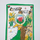 Vintage Welsh Tapestry Cymru Wales 26 X 17 Wall Art Y Ddraig Goch Ddyry Cychwyn