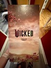 Universal Studios Wicked Stainless Steel 40oz Tumbler New
