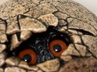 Pena Windstone Editions Hatching Gargoyle Dragon Egg Statue Figurine 1994 Nib