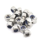 Nylon Insert Locking Nuts Stainless Steel M2 3 5 10 14 Hex Nut Fine Pitch Din985