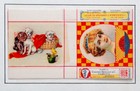 6 Different Antique Vintage Matchbox Label Match Box Lot Women   Dogs Italy