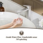   New Brushed Nickel Bathroom   Kitchen Faucet   Single Hole   Tall Vessel   