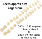 Imitation Human Teeth Tooth Teeth Silicone Mold Teeth Mold Tooth Mold Multiple 