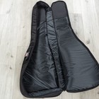 Gator Cases Gbe-classic Classical Acoustic Guitar Gig Bag  Pitbull Audio Logo