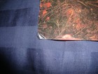 Goo Goo Dolls A Boy Named Goo Promo Flat Signed