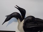 Loon Decoys folk Art Hand Carved And Painted Signed By Kautz Decorative