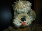 Vintage Steiff Snobby Poodle Laying   1950s Button   Tag