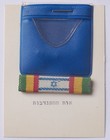 Volunteer Service   Fighters Of The State Jewish Brigade Ww2 Badge Israel Ribbon