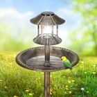 Solar Outdoor Rustic Pedestal Bird Bath With Fillable Planter Base For Garden