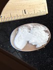 Vintage European-style Carved Shell Cameo - Unmounted