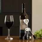 Korcci Wine Opener Heavy-duty Zinc Alloy Wing Corkscrew For Bar Silver
