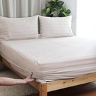100  Egyptian Cotton Fitted Sheet Twin Xl Size Only  600 Thread Count  8 -16  