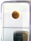 1862 P  1 Indian Princess Head Gold Dollar  Type 3  Ngc Au 55