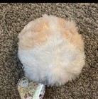 New Tags  Amuse Collection  fuwa-mofu Pometan  Plush Small 7  Pomeranian  Dog