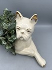 Vintage Style American Bulldog Ceramic Planter Gold Accents Ears Collar Paws