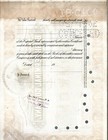 Bush Terminal Company Stock Certificate 100 Shares