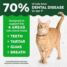 Greenies Feline Natural Dental Cat Treats  Tempting Tuna Flavor  9 75 Oz    1 Ve