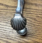 American Coin Silver Sugar Tongs Potter   Briggs Providence Shell Bowls C1830