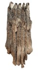 Lynx Pelt  Very Plush   Incredibly Soft