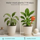 Little Green Leaf Lgl Plant Watering Small  Blue  Red  Green  Turquoise 