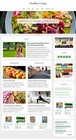   Healthy Living   Store Blog Affiliate Website Business For Sale Auto Content  