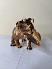 Safari Pachyrhinosaurus Dinosaur Figure Prehistoric Collectible Rare 2014