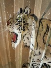 Large Hand Painted Asian Tiger Wall Fan 57    Bamboo Wood Japanese Chinese Decor