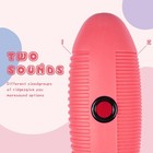 Guiro 3 9 x13  Fish Guiro Instrument Latin Percussion Instrument With 2 Scrap   