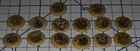 C1896 Lot Of 44 Diff Us States Seals Sweet Caporal Cigarettes Pins Celluloid Pin