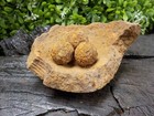 Rare Vintage Antique Civil War Relic Confederate Shell Fragment Richmond  Va 