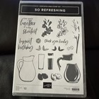 Stampin Up  So Refreshing Stamp Set   Dies Bundle