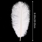24pcs White Ostrich Feathers 8-10  Bulk Natural Feathers For Wedding Crafts Deco