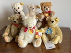 Lot Of 6 Vtg Jtd Steiff Bears 7   -10    Mohair   Plush All W tags Buy Now  Look 