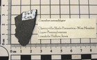Pennsylvanian Rare Articulated Conodont Jaw Element Fossils On Matrix  4