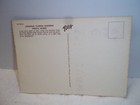 Vintage Phoenix Arizona Uncirculated Postcard Japanese Flower Gardens