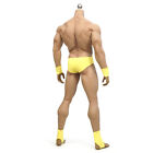 Tbleague Phicen M34 1 6 Scale Steel Skeleton Male Seamless Muscular Suntan Body