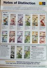 Bermuda 100 50 20 10 5 2 Dollars 2009 P 57-61 Full Set Matching Serial   001963 