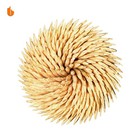 Sturdy Safe Toothpick Holder With 800 Natural Wood Toothpicks For Teeth