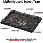 Mouse   Insect Traps 12 Pack  Heavier Sticky Traps With Non-toxic Glue For Mice
