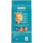 Iams Proactive Health Chicken   Turkey Dry Cat Food 7 Lb Bag Adult Cat Food