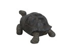 Small Tortoise Statue Home Decor Display Wildlife Garden Statue Turtle Decor