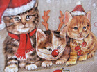 New Celebrate Christmas Kitty Cat Kittens Rudolph Beverage Paper Napkins - 40ct 