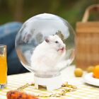 Transparent Portable Hamster Carrier Backpack - With 1m Leash For Outdoor Travel