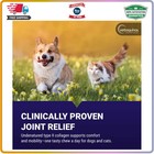 Vetoquinol Flexadin Advanced Joint Supplement For Dogs And Cats 30 Soft Chews