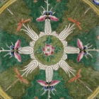Chinese Qing Kangxi Famille Rose Porcelain Cabbage Butterfly Design Plate 17 7 