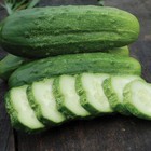 35 National Pickling Cucumber Seeds   Heirloomseedguy   Non-gmo   2026