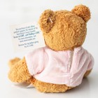 Vintage 2001 Avon Breast Cancer Crusade Plush Brown Teddy Bear