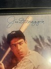 Joe Dimaggio Signed Auto 8x10   Replica Baseball Glove Memorabilia Lot                 