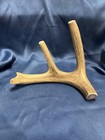Huge Colossal Jumbo Chews Whole Deer Antler Dog Chew Sale   1 Grade Massive Xxxl